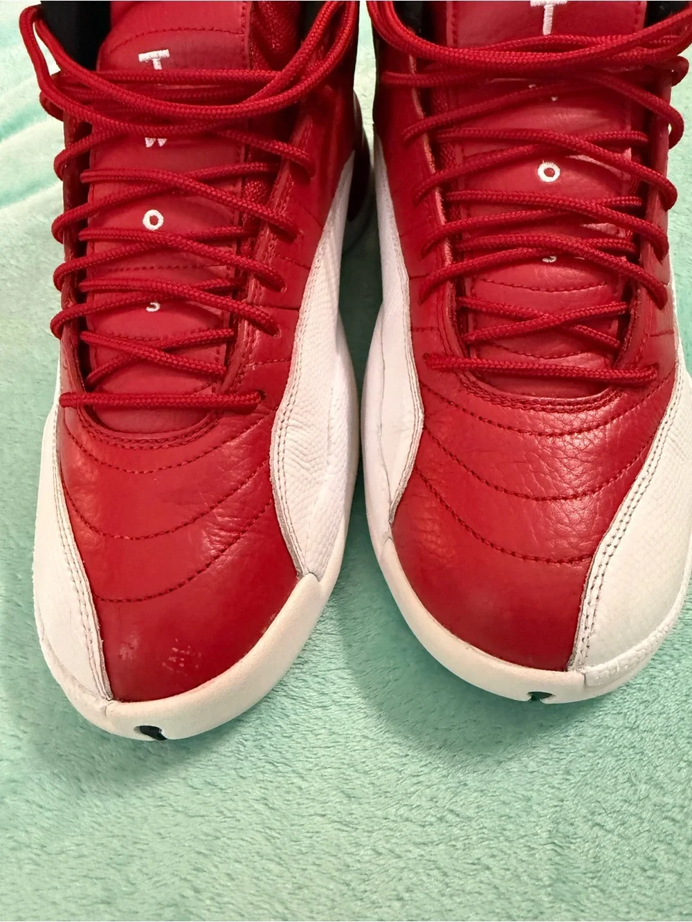 Air Jordan 12 Retro 